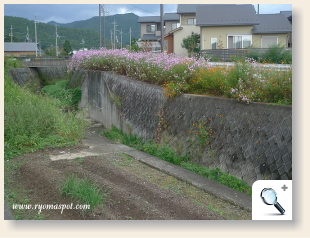 岩倉川べり